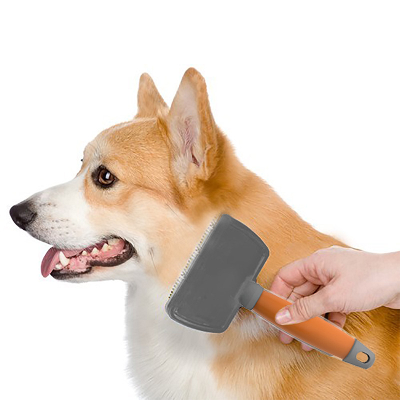 Shiba sales inu brush